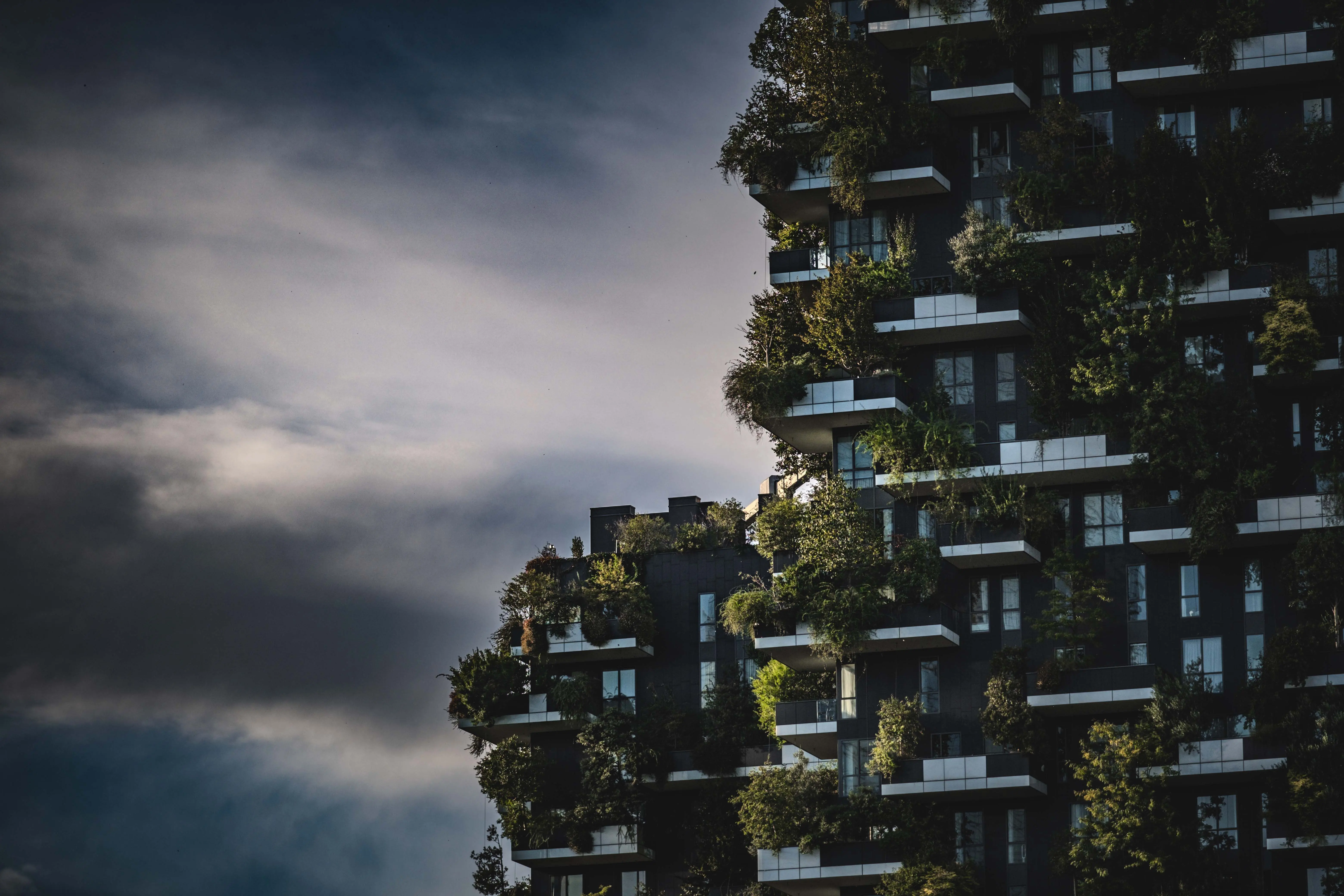 Sustainable and Green Development