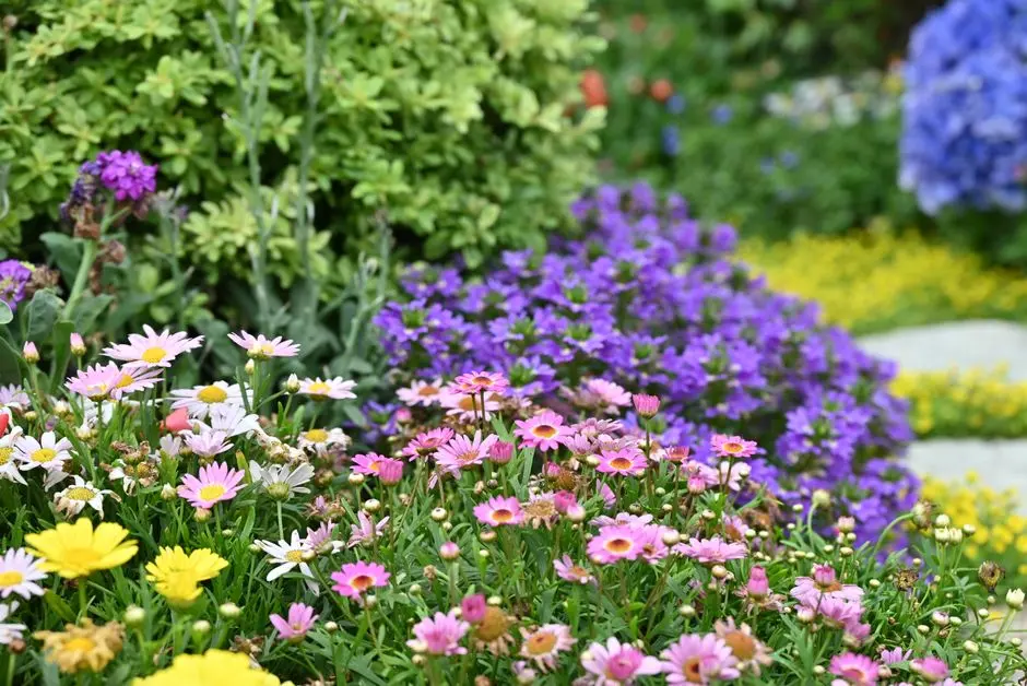 Greens & Outdoors at BPTP 102 EDEN ESTATE 3, Sector 102, Gurgaon