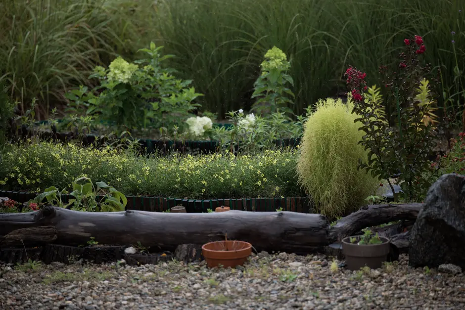 Greens & Outdoors at BPTP SPACIO, Sector 37D, Gurgaon