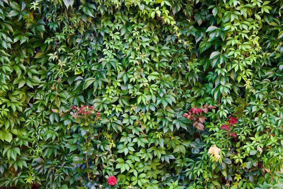 Greens & Outdoors at BPTP DISCOVERY PARK (PHASE 1), Sector 80, Faridabad
