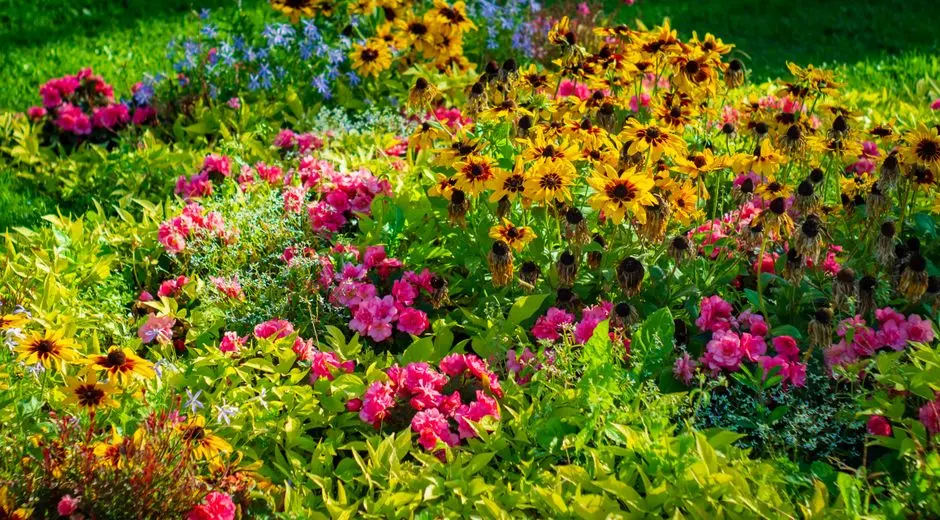 Greens & Outdoors at BPTP SECTOR 106, Gurgaon