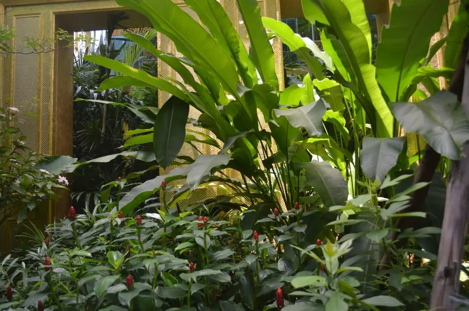 Greens & Outdoors at BPTP PARK ELITE FLOOR, Sector 85, Faridabad