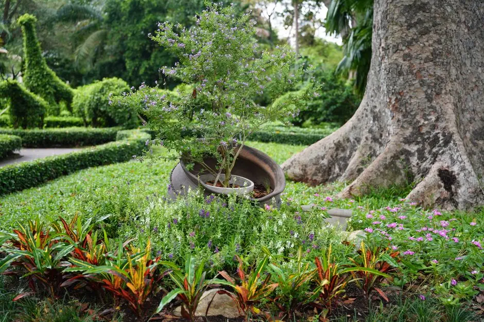 Greens & Outdoors at BPTP PARK FLOORS I, Sector 77, Faridabad