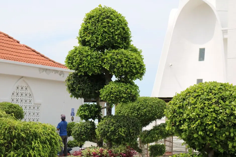 Greens & Outdoors at BPTP 102 EDEN ESTATE PHASE 3, Sector 102, Gurgaon