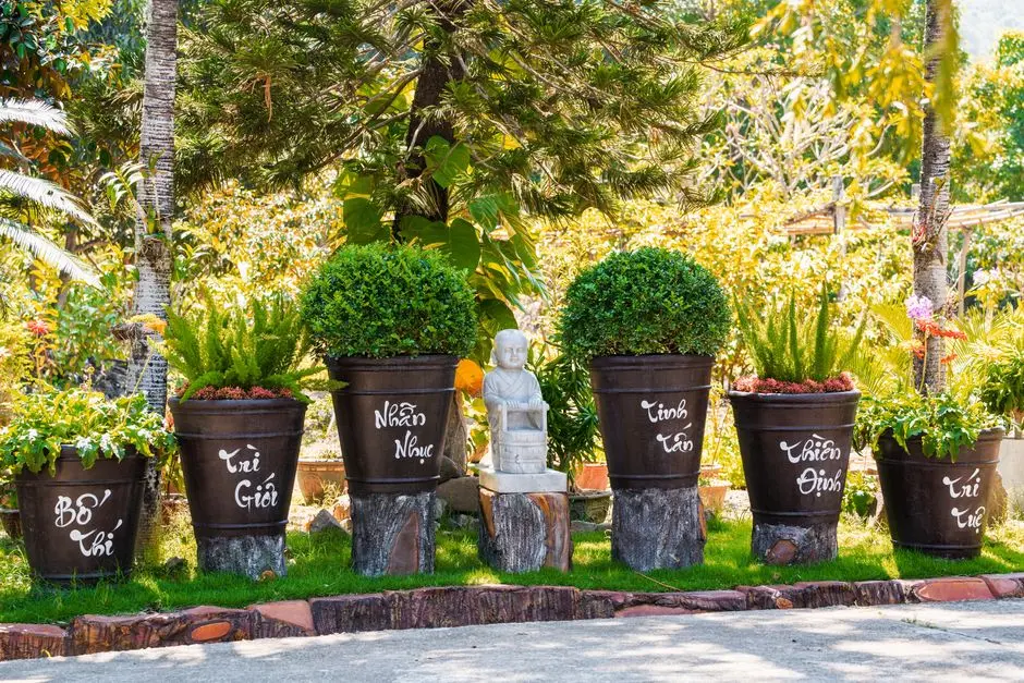 Garden